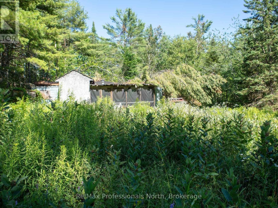 1137 BLACKMORE ROAD, 