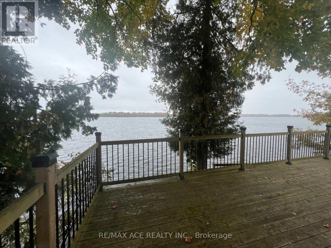 41 NORTH TAYLOR ROAD, 