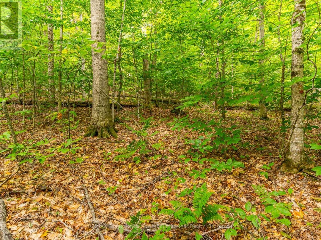 0 ADELINE TRAIL TRAIL, 