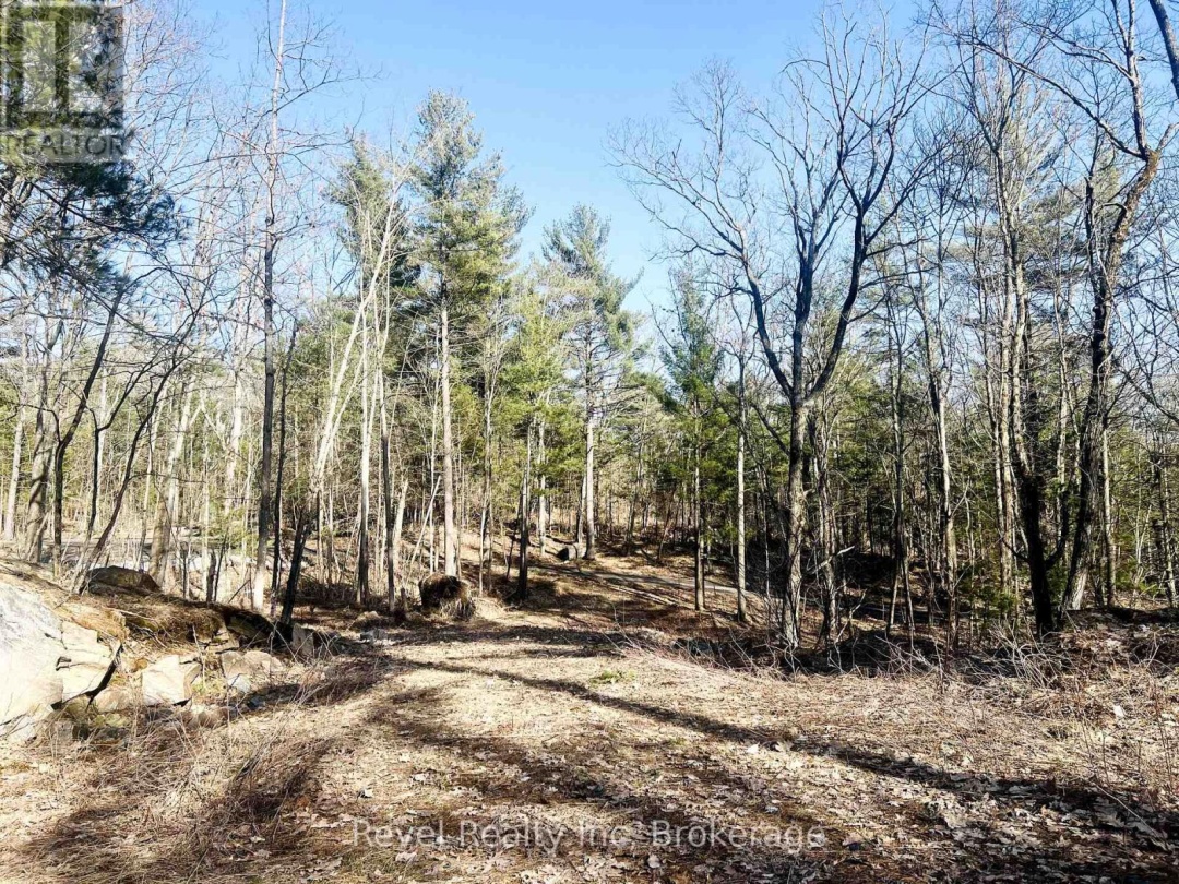 88 LOUISA STREET, Seguin Lake