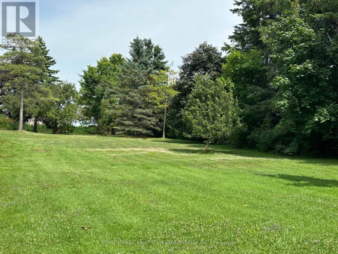 17288 SIMCOE STREET, 