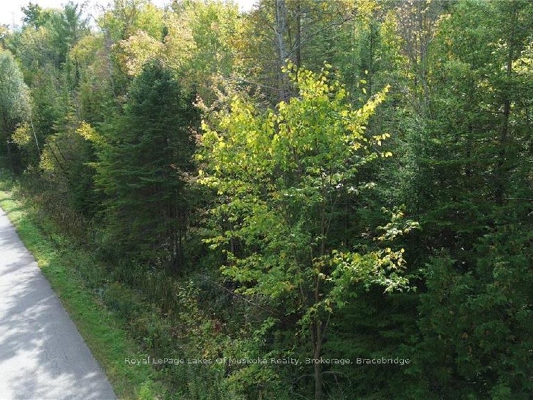 0 Mt St Louis Road, Oro-Medonte