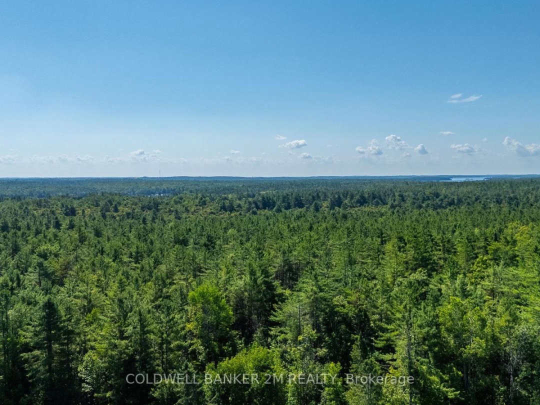 2812 COUNTY ROAD, 