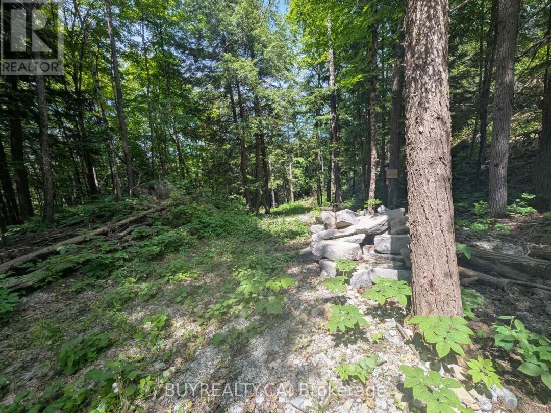 2318 SHERWOOD FOREST LANE, Severn River