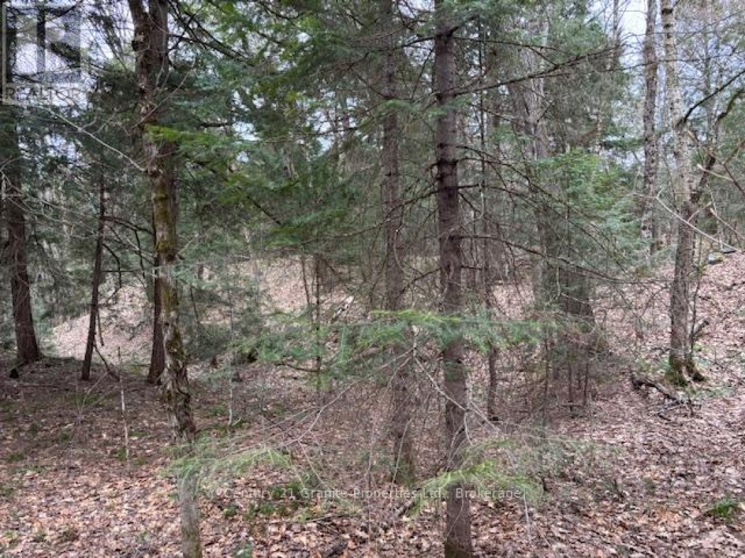 Lot 2 Loch Erne Road, McDougall
