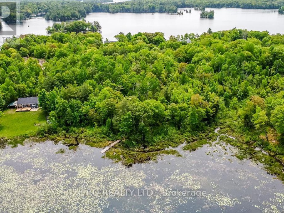 382 Corrievale Road, Little Lake