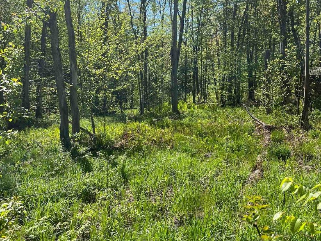 0 TRAPPER'S TRAIL ROAD, 