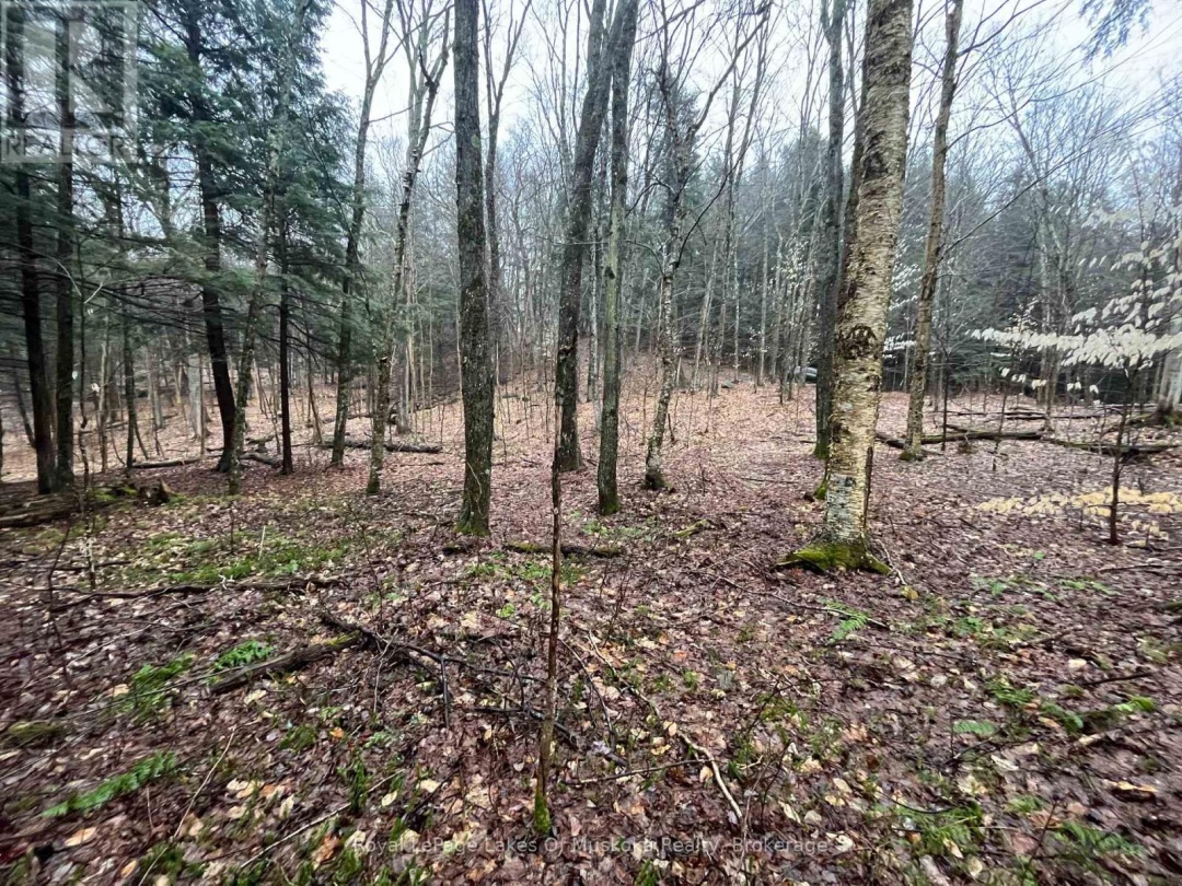 Lot 90 Lookout Point Road, Lake Vernon