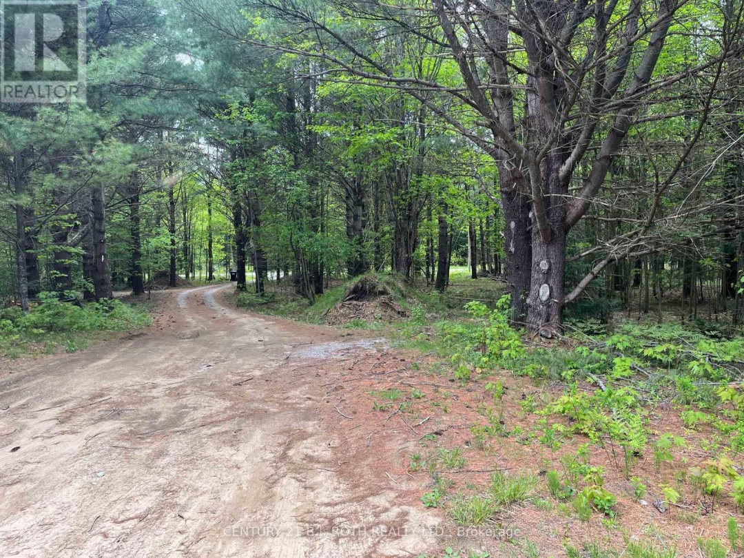 4033 Boyd Road, Severn