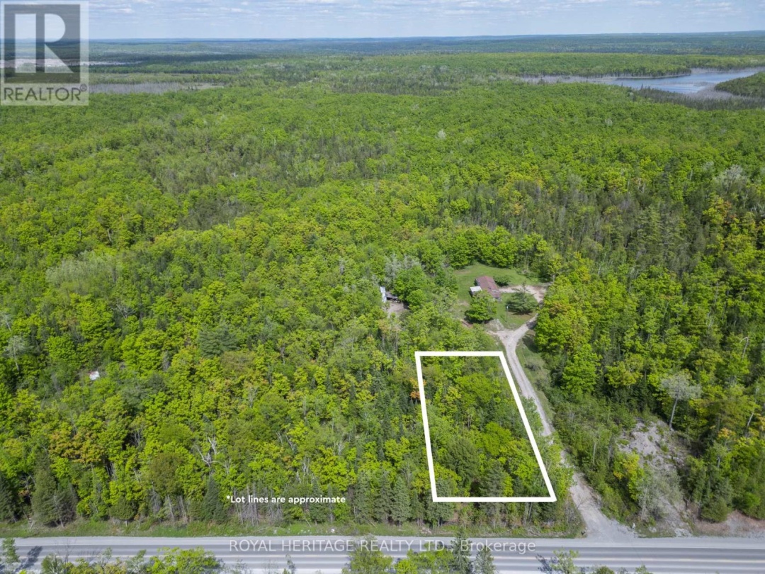 994 COUNTY ROAD 49, Trent Lakes