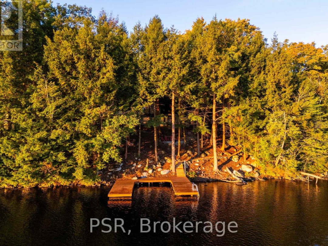 2920 MUSKOKA ROAD 169 ROAD, 
