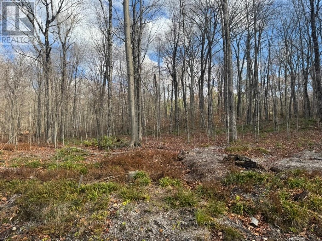 PART 19 STANDING PEOPLE ROAD, 