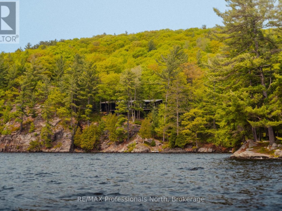 11405 DRAG LAKE EAST SHORE, 