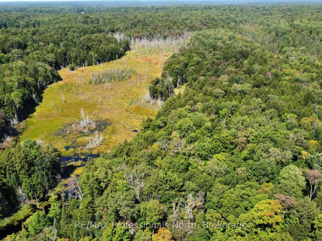 LOT 32 CONCESSION 5, Round Pond