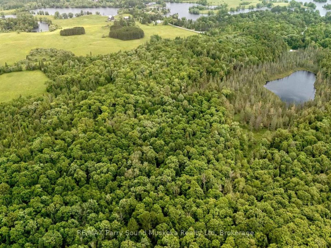 372 MCDOUGALL ROAD, 
