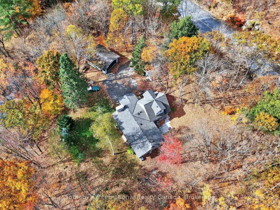 1132 LIMBERLOST ROAD, 