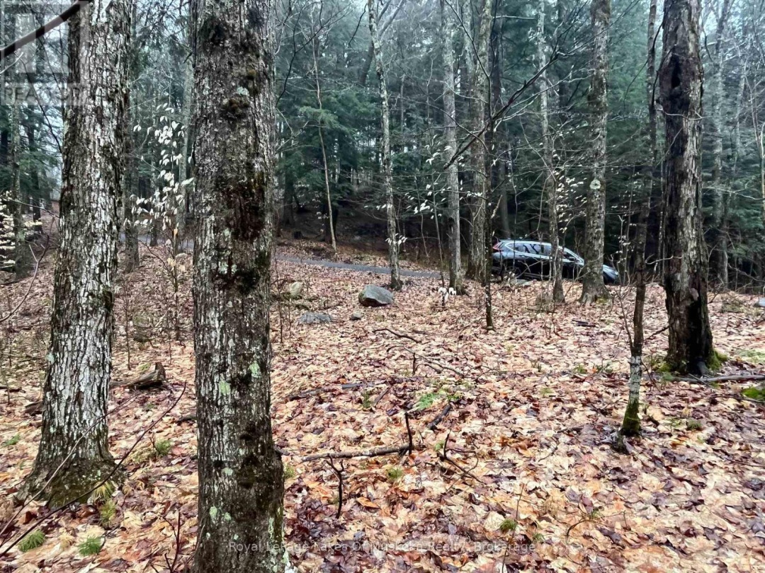 Lot 90 Lookout Point Road, Lake Vernon