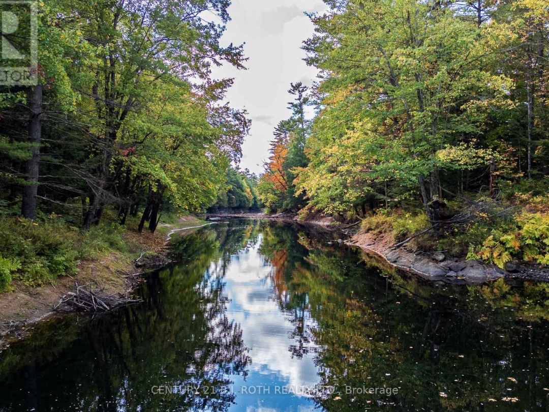 8101 KINGS RIVER ROAD, 