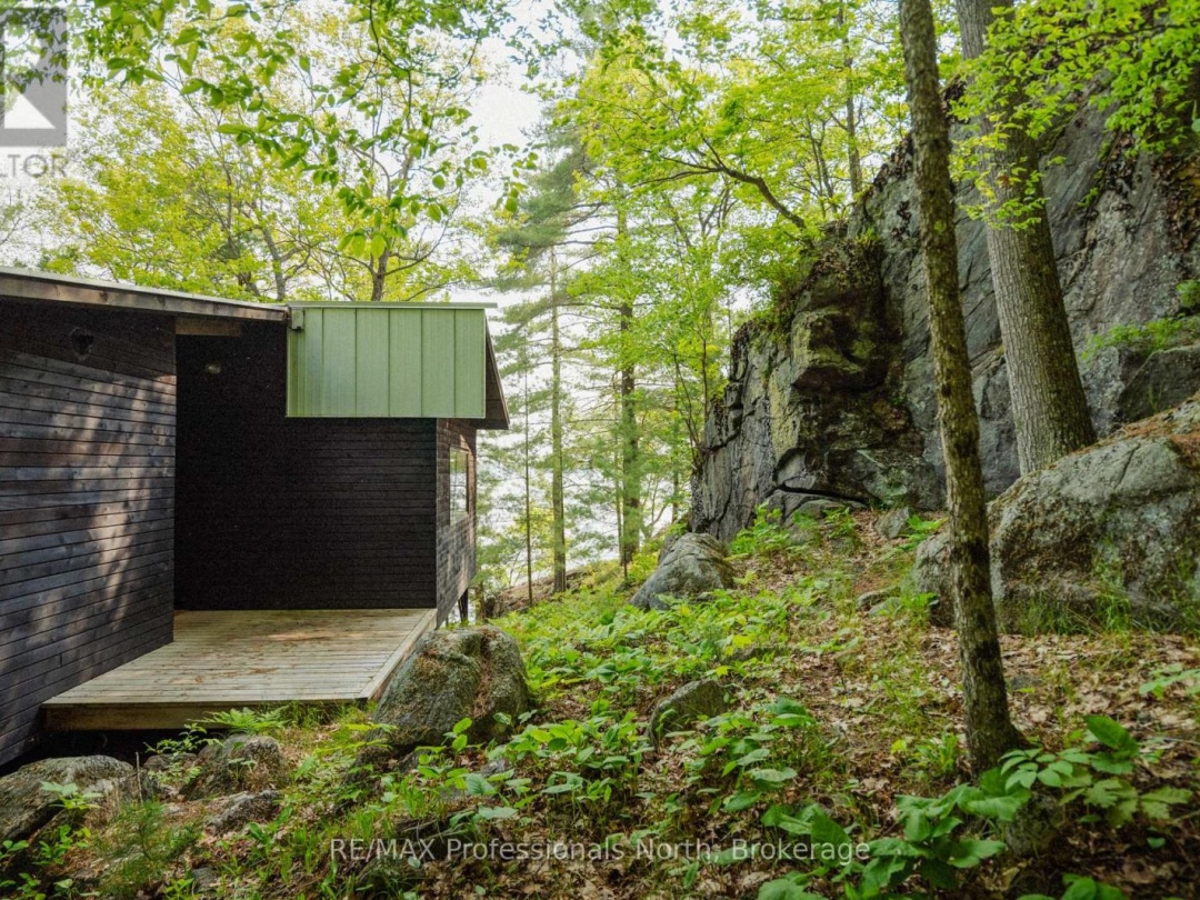11405 DRAG LAKE EAST SHORE, 