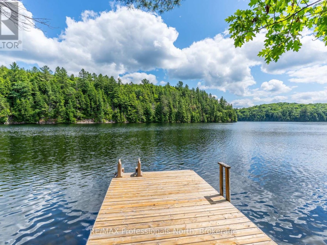 53437 BIG HAWK LAKE, 