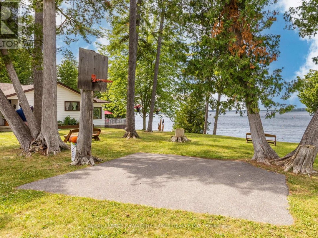 36 GOODMAN ROAD, 