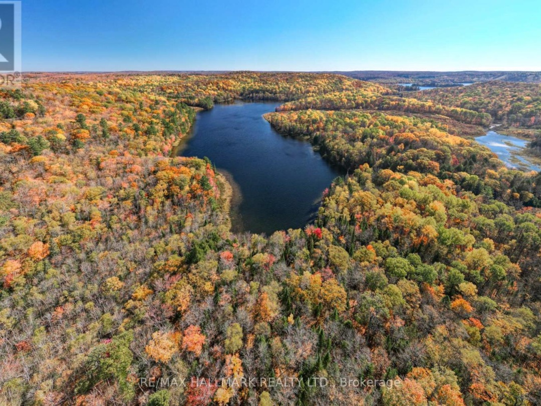 3517 HALIBURTON LAKE ROAD, 