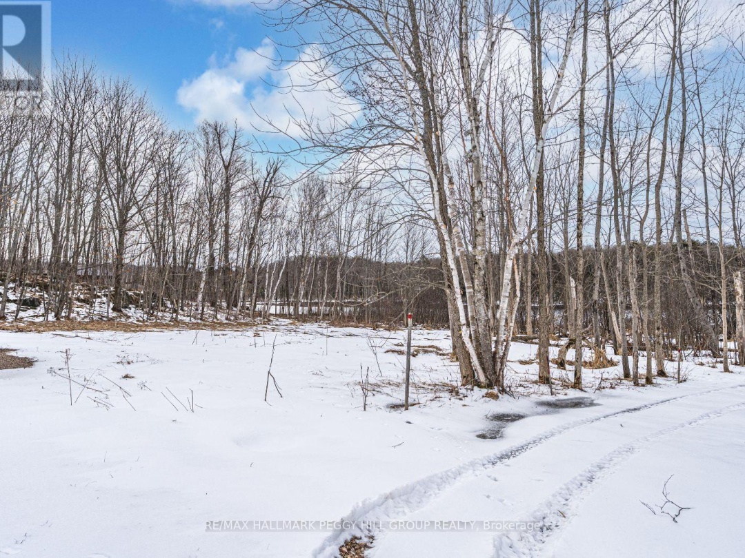 91B Highway 124, Mountain Basin Lake