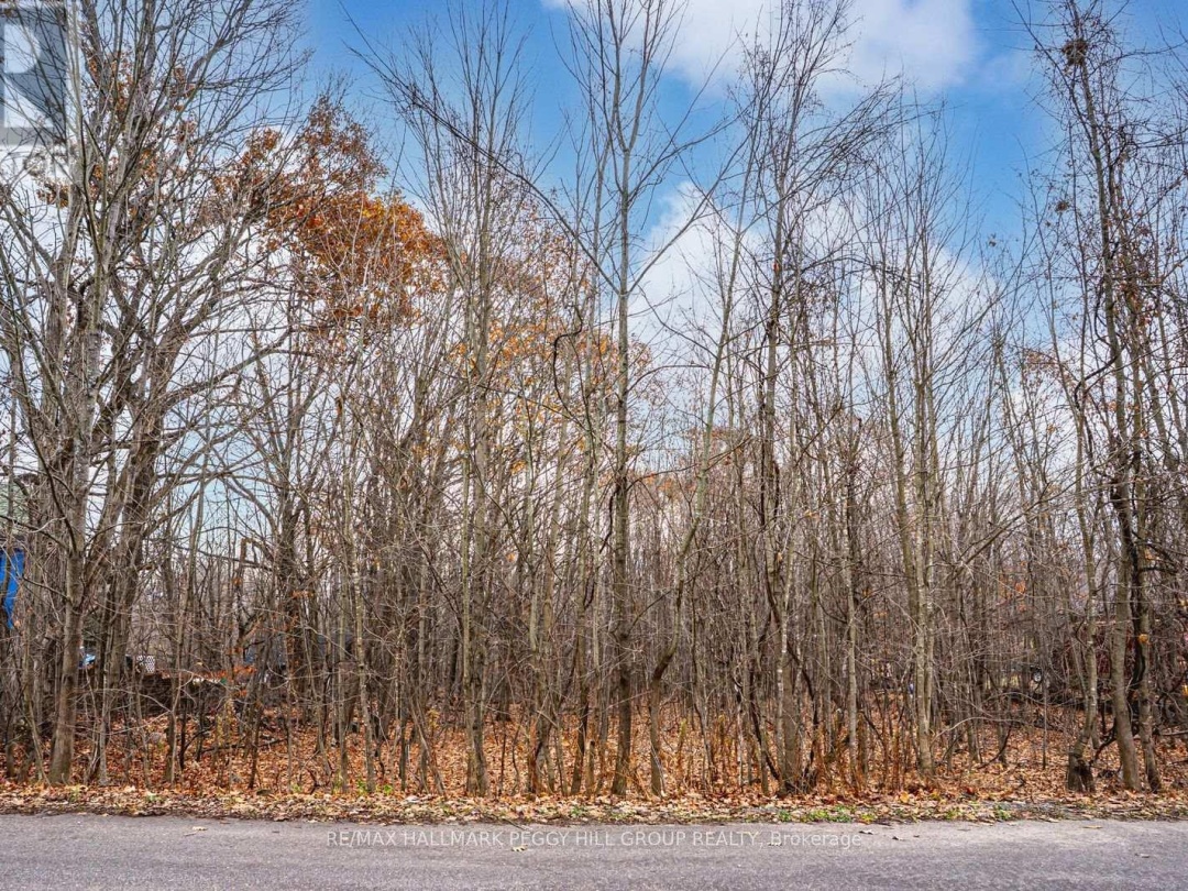 17 VALLEYVIEW DRIVE,