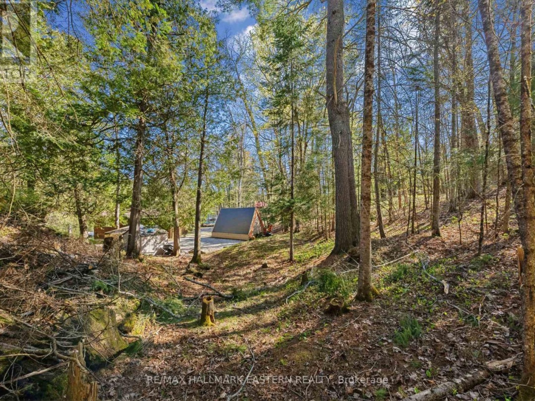 1025 Dickies Lane, Gooderham Lake