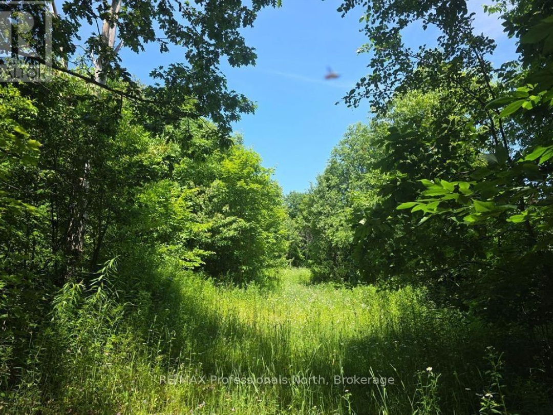 1134 WALKERS LINE ROAD, 