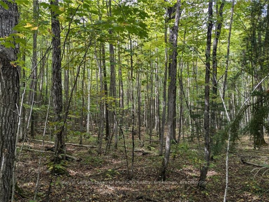 0 Mt St Louis Road, Oro-Medonte