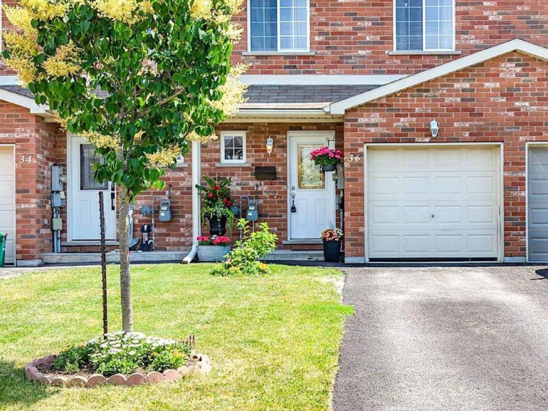 36 MICHELLE DRIVE, 