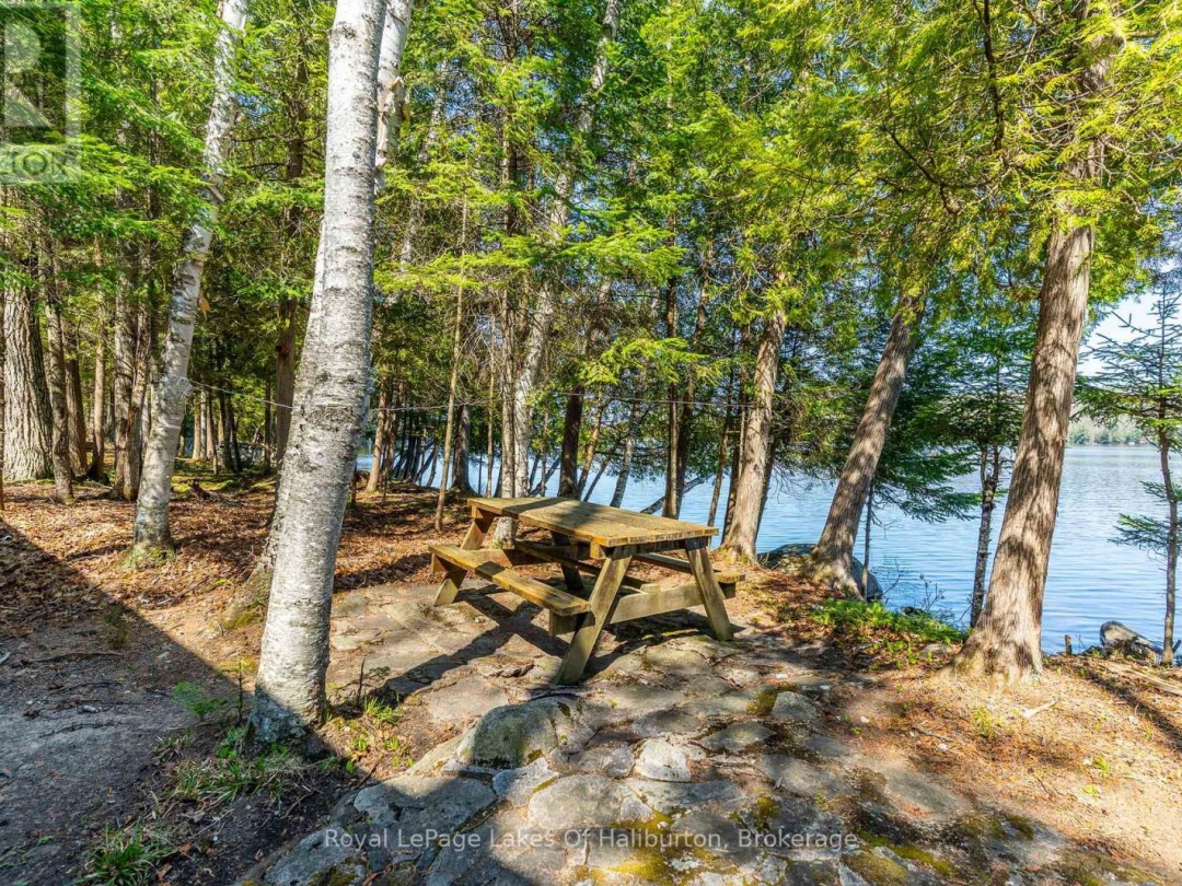 1096 Reg's Trail, Drag Lake
