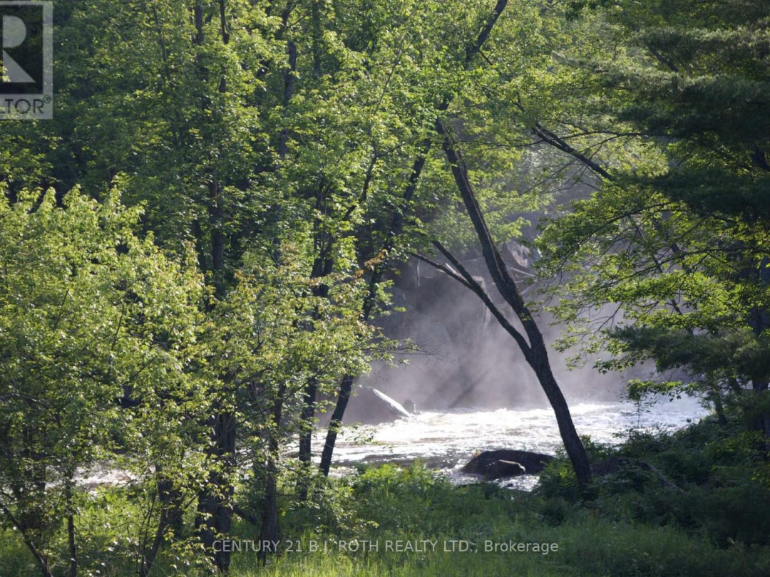 8101 KINGS RIVER ROAD, 