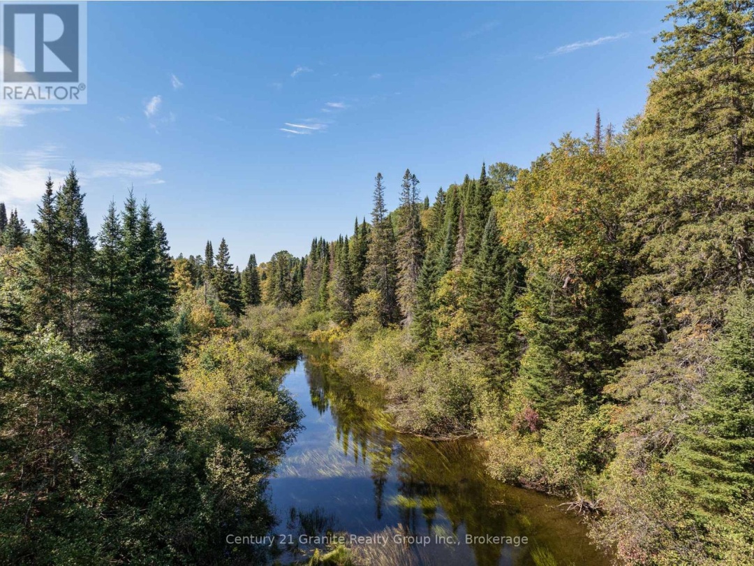 1295 BINSCARTH TRAIL, 