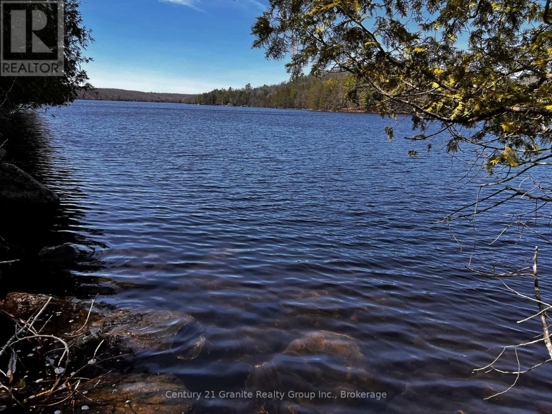 1208 Reg's Trail, Drag Lake