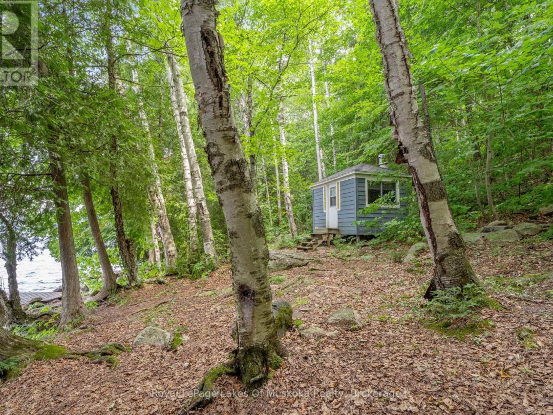 16368 KAWAGAMA-DENNISON ISLAND, Kawagama Lake