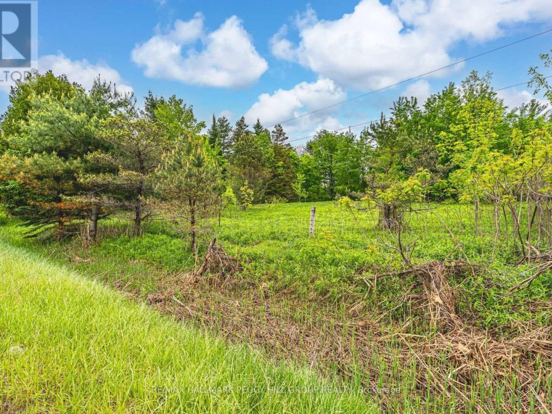 699 MOONSTONE ROAD E, 