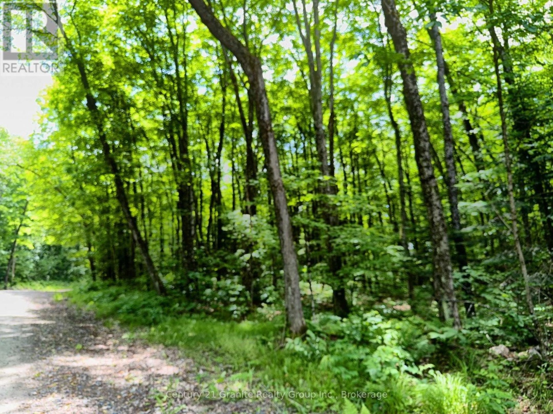 0 LOON LAKE ROAD, 