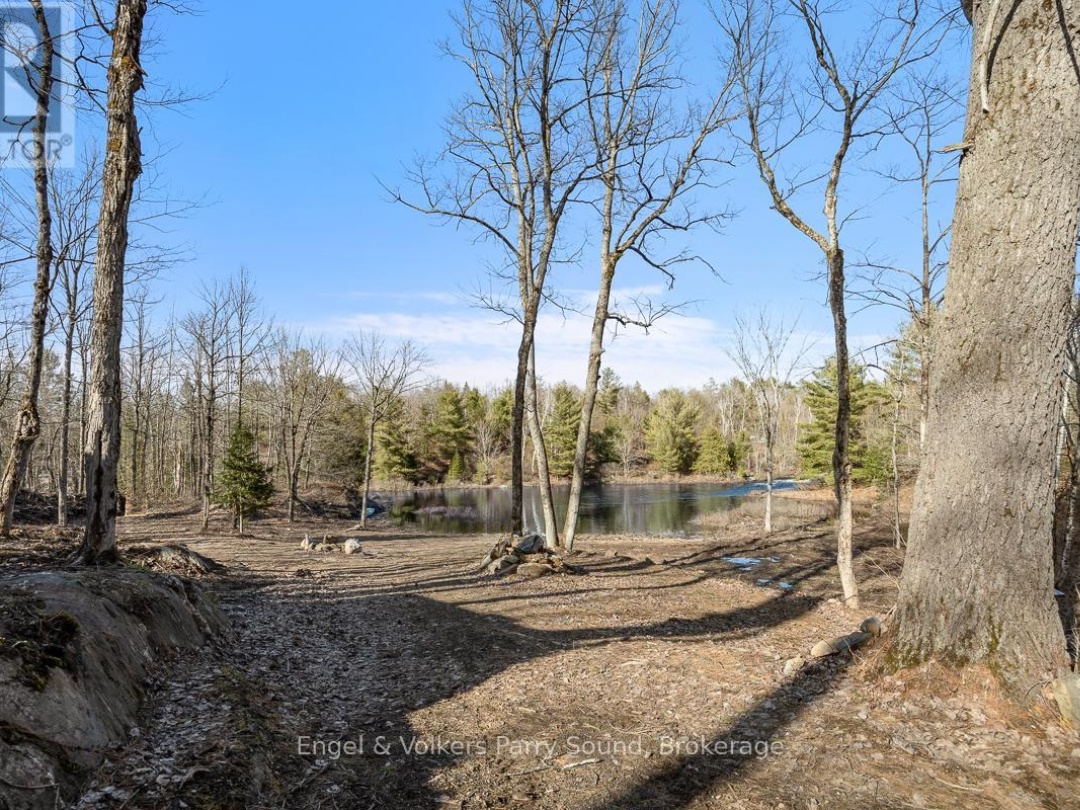 699 BUNNY TRAIL, 