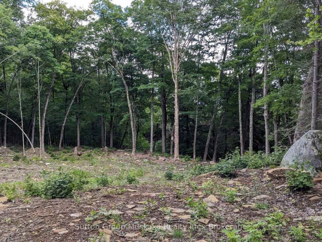 Lot 2 Esig Lane, Rebecca Lake
