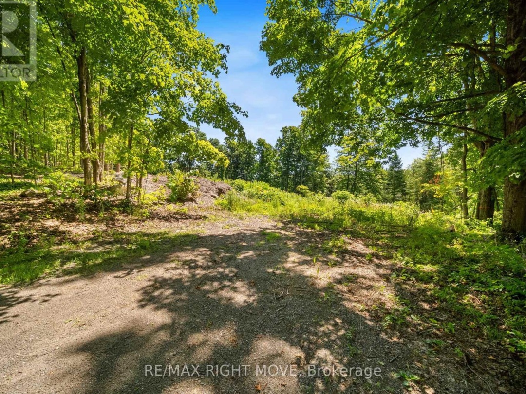 255 PEARL DRIVE, 