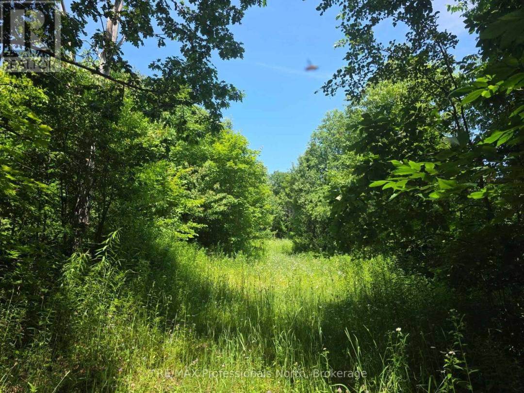 1134 WALKERS LINE ROAD, 