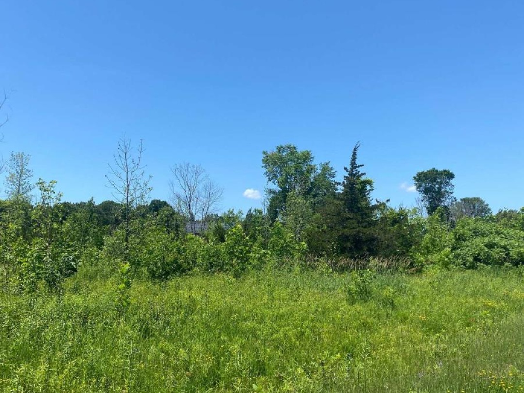 155 HILLSIDE DRIVE, 
