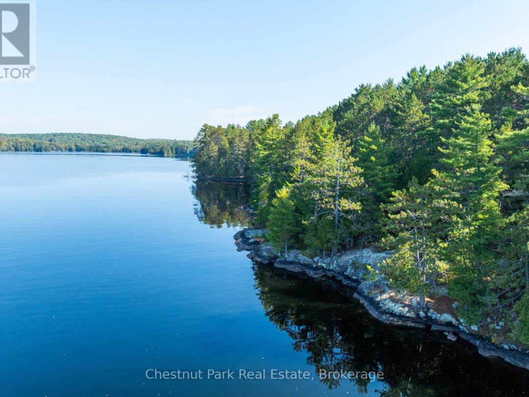 1000 Brown Island, Soyers Lake