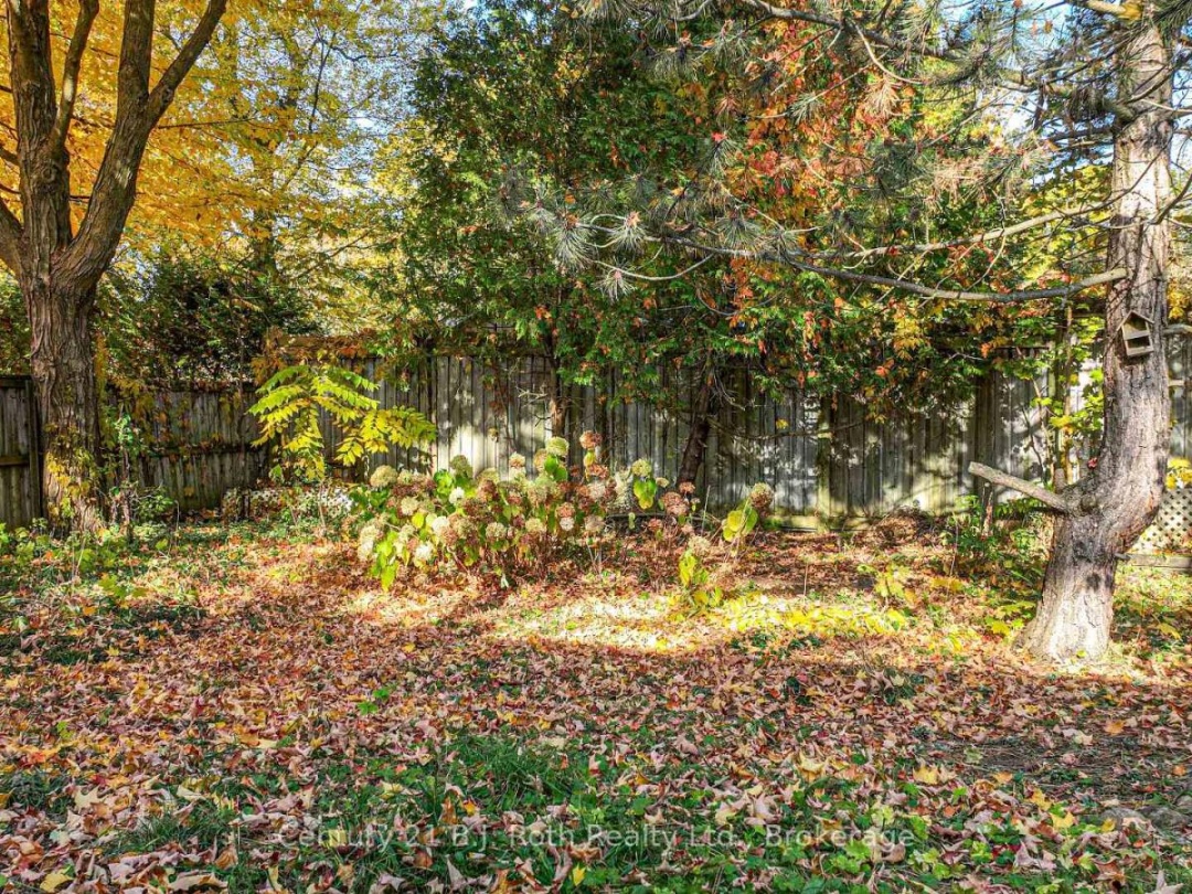 24 Champlain Street, Orillia
