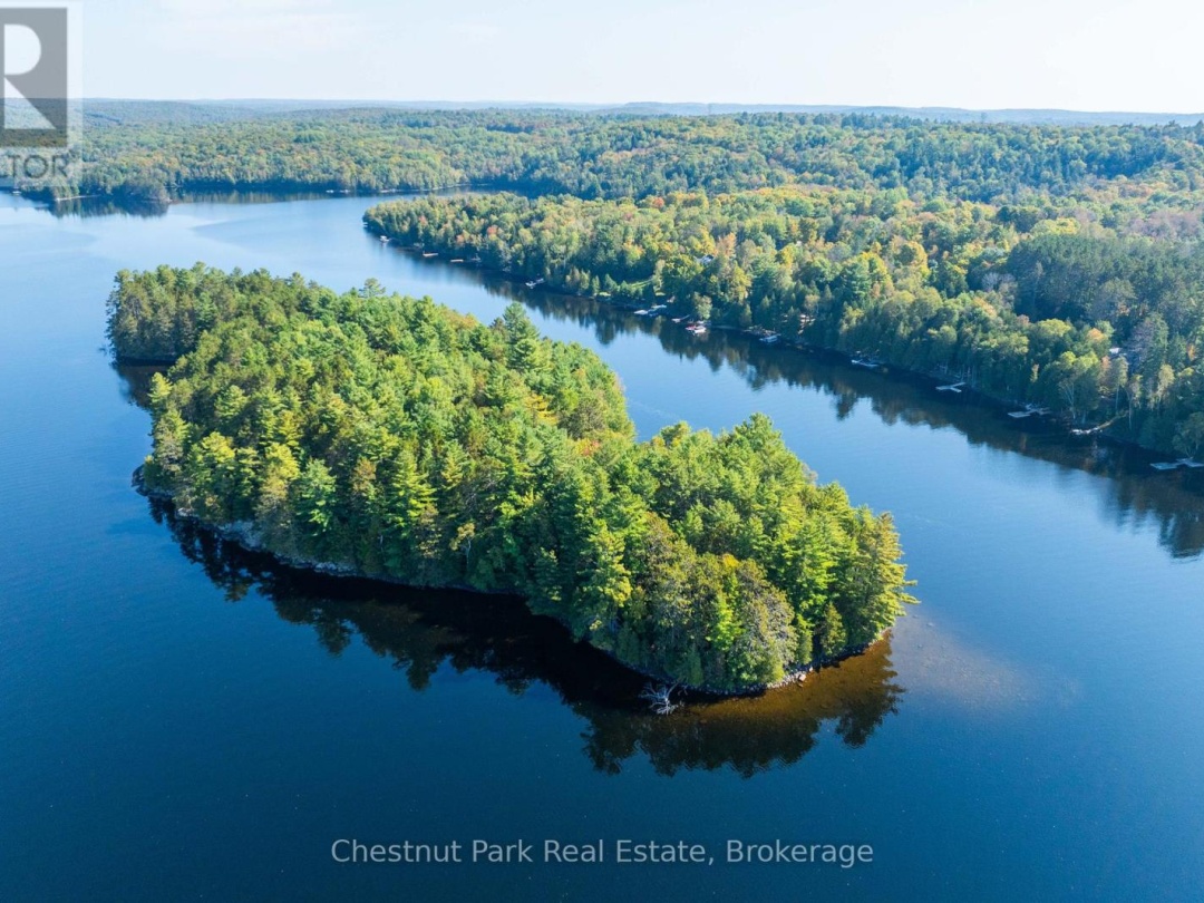 1000 Brown Island, Soyers Lake