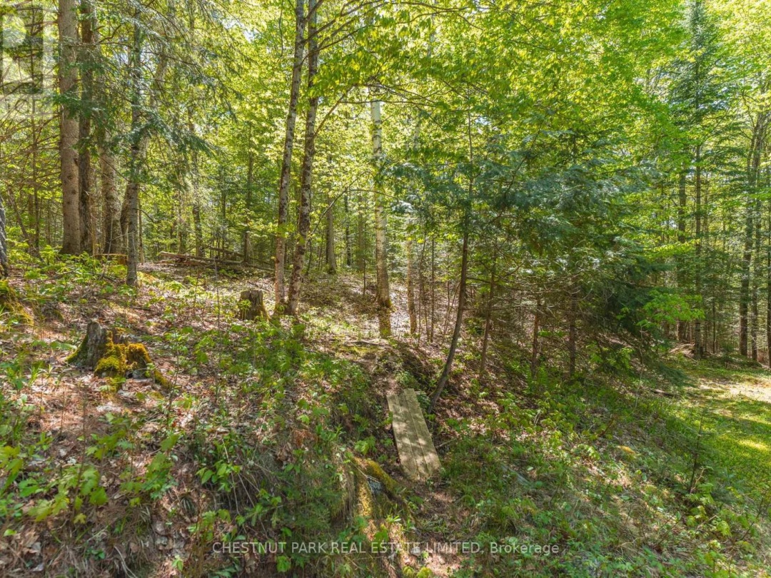 1316 SIR SAM'S ROAD, 