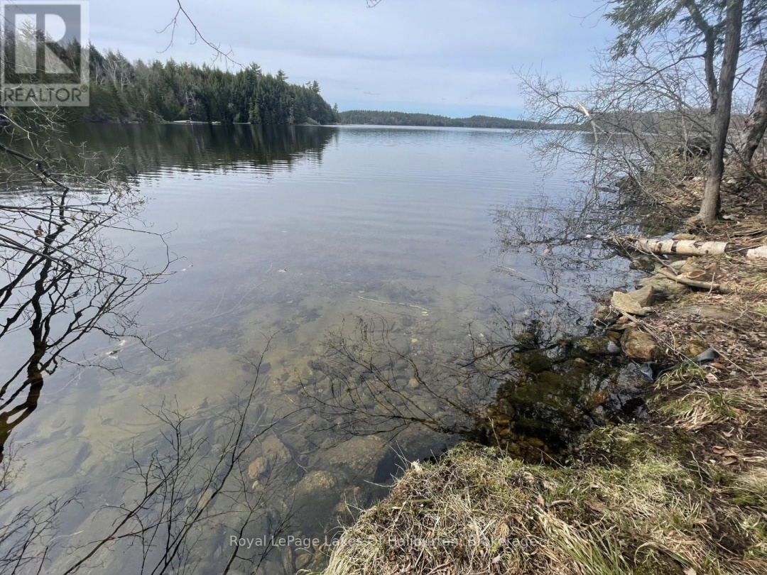 0 Starlight Road, Gull Lake