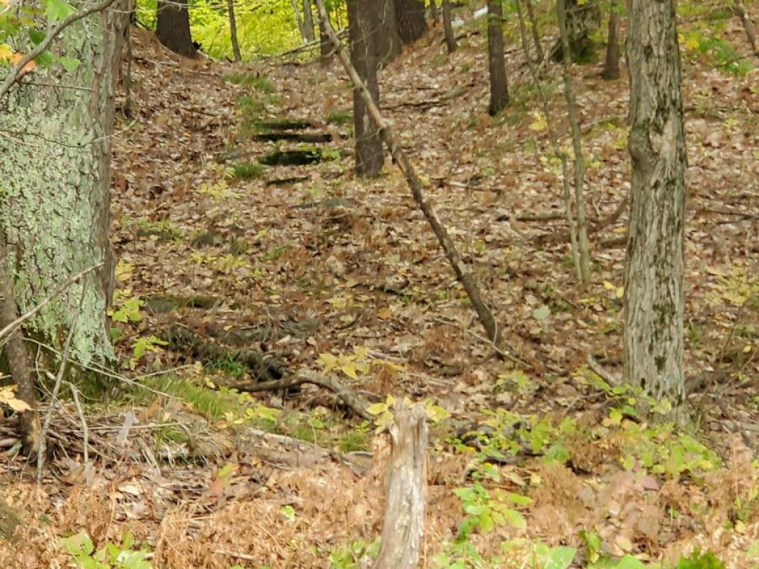 3384 SOUTH PORTAGE ROAD, 